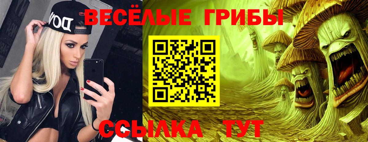Галлюциногенные грибы MAGIC MUSHROOMS Заволжье