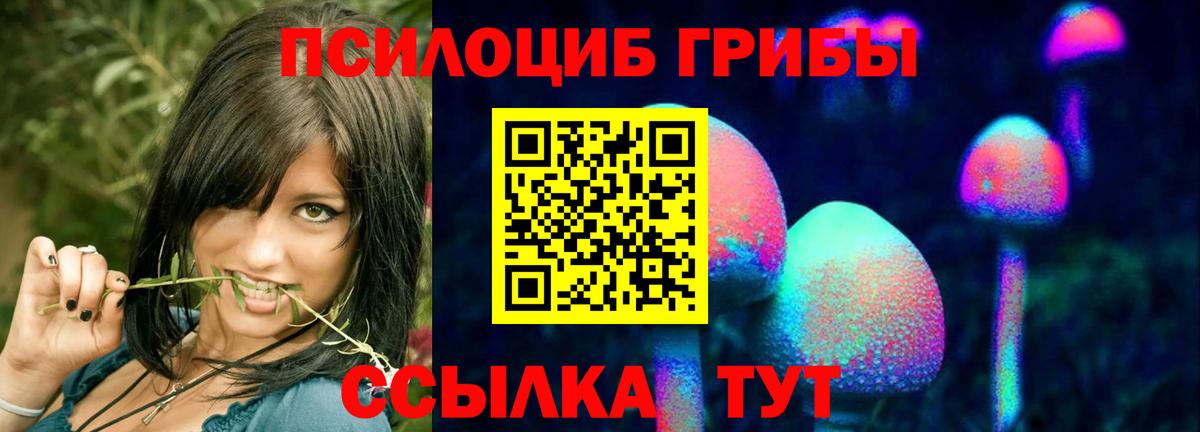 Заволжье  Галлюциногенные грибы ЛСД  Вход с VPN 