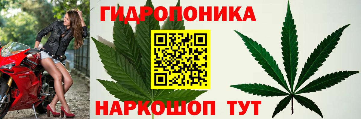 Бошки Шишки AK-47 Заволжье